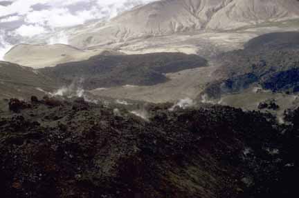 Photograph of steaming lava flow in middleground
