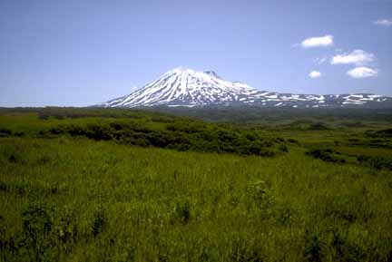 Photograph of snow-covered volcano with green grassland in foreground