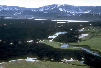 Photograph of dark, jagged lava flows, green grassy areas, and snow on caldera rim in background