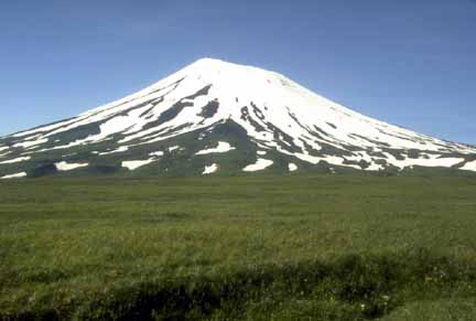 Photograph of symmetrical snow-covered volcano, blue sky, and green, grassy slopes and marsh area in foreground
