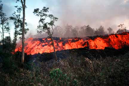 photo 006.  Photo of lava, red-hot underneath and gray crusted-over on top, in middle distance progressing among trees