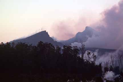 photo 093.  Photo of forest in foreground, burning forest in middle ground, and lava in background