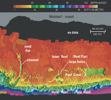 map of coral reef off the island of Moloka‘i