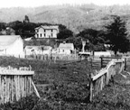 photograph showing 8.5 feet of offset along a fence near Bonlinas. Offset occurred during 1906 earthquake