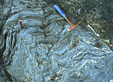 Image of outcrop showing folds