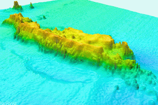  [Perspective view of Alabama Aalps reef]  